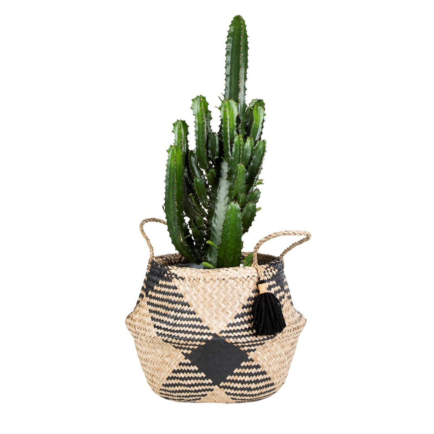 BASK005_B Aufbewahrungskorb Black Tribal - mit Pflanze