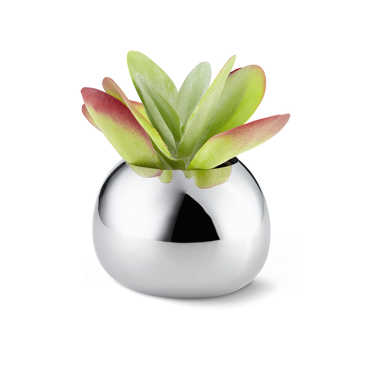 BELLA_Vase_Philippi2 Edelstahl Vasen für kleine Sträuße mit Deko