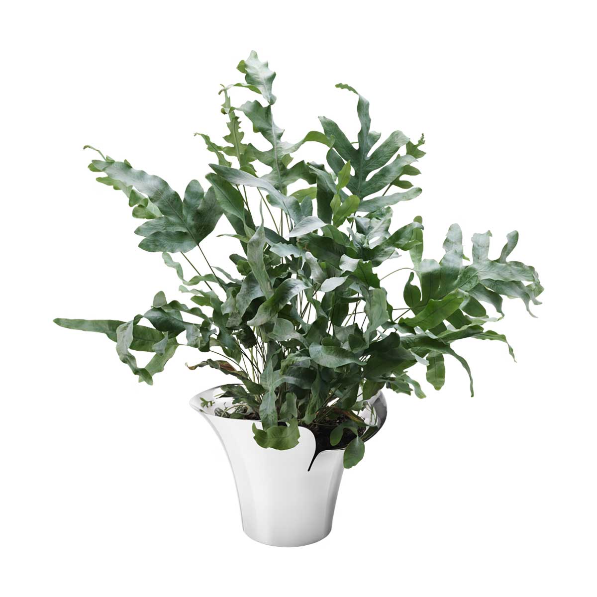 blumentopf_bloom_botanica_georg_jensen_2 Blumentopf aus hochglanz poliertem Edelstahl - Detailansicht mit Pflanze